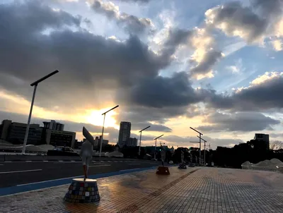 紫川太陽の橋