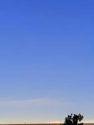 晴天2