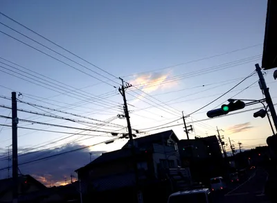 仁和寺バス停
