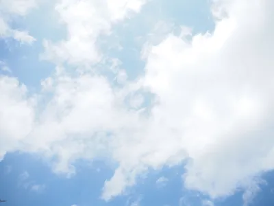 青空に浮かぶふんわり白い雲