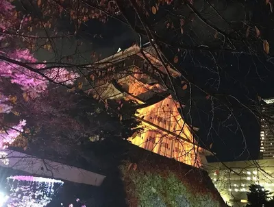 小倉城ライトアップ