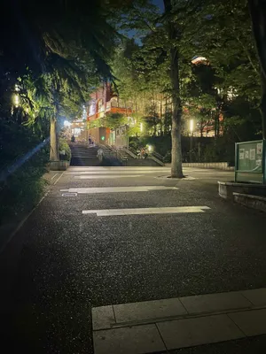 夜の静かな公園と幻想的な灯り