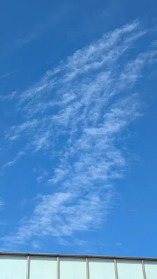 翼に見える雲