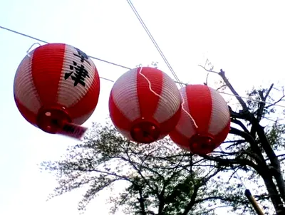 草津の提灯