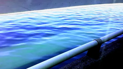 朝の登校中 海の水面