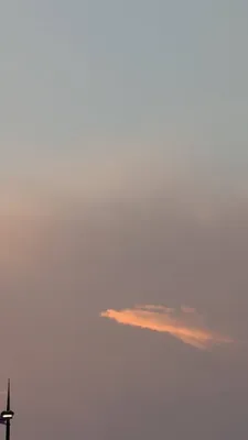 茜色の龍みたいな雲