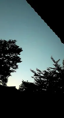 御室仁和寺