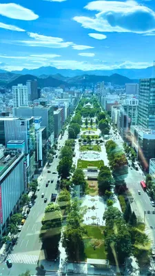 展望台から見下ろす大通公園と街並み