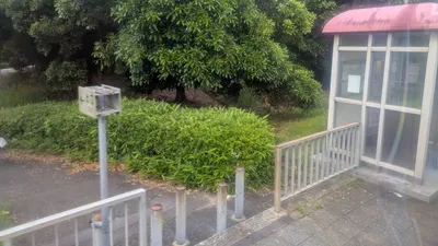 バス停前の小道