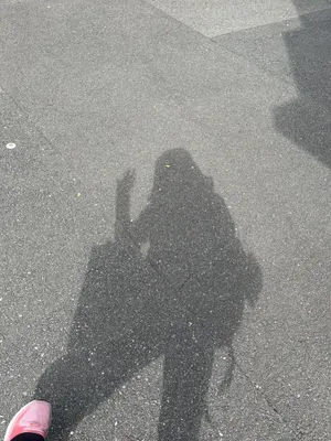 秋の影