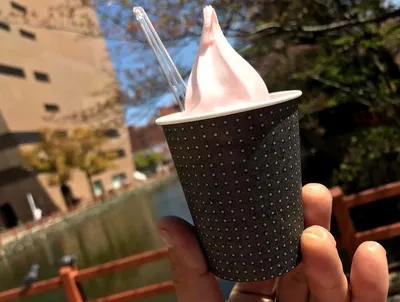 さくらソフトクリーム1