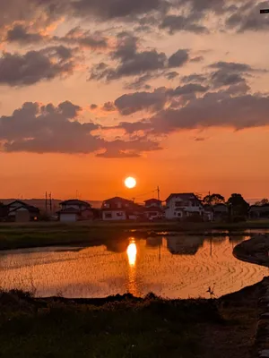 綺麗な夕焼けと田んぼ