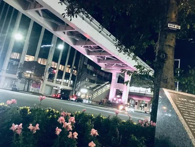 ピンクに光るモノレール高架の夜