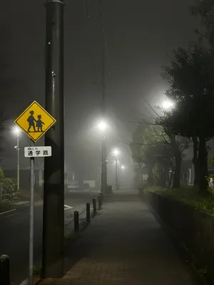 霧の深い夜