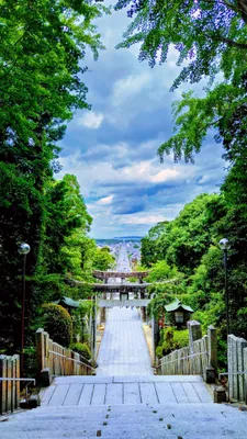 一本道