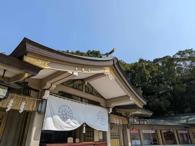 光