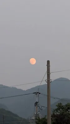 夕方見た朱い月(縦)