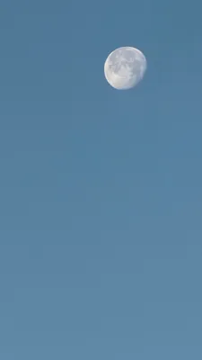 真昼の月