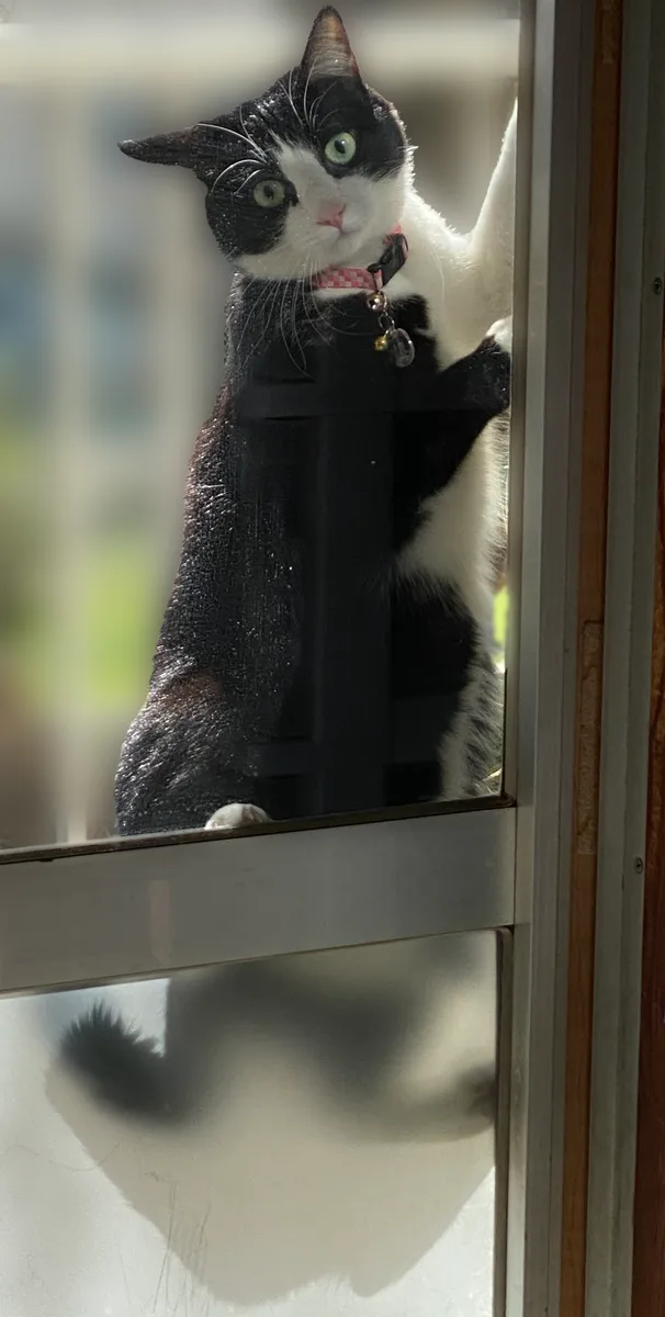 開けて