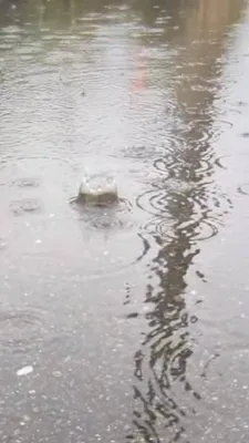 水溜りの波紋②(縦)