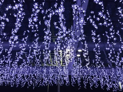 黒崎駅イルミネーション