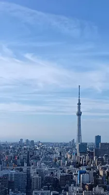 東京の街(縦)