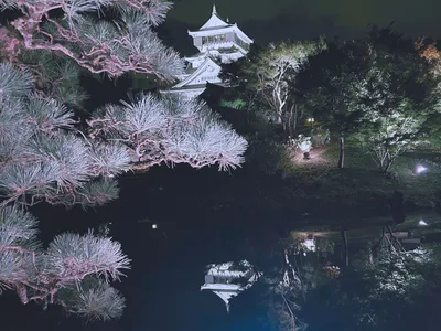 水辺に浮かぶ小倉城