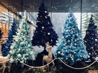 福岡銀行クリスマスツリー