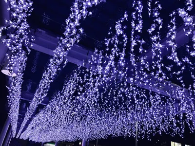 黒崎駅イルミネーション2