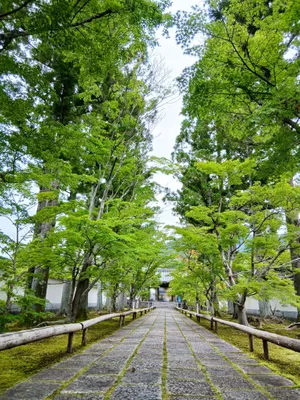 新光明寺