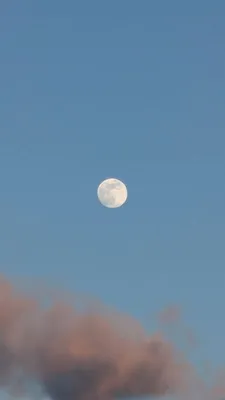夕暮れ時の月