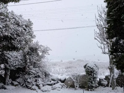 雪景色