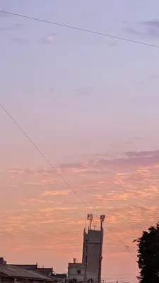夕方の高積雲(縦)