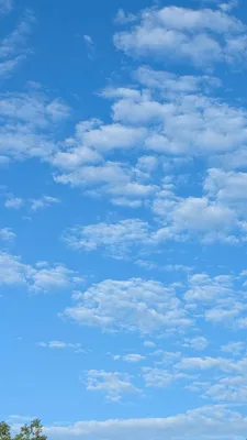 巻積雲(縦)