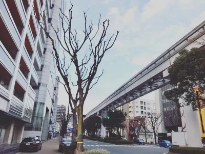平和通り