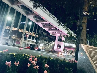 平和通りピンク