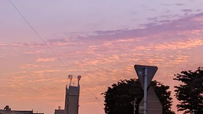 夕方の高積雲(横)