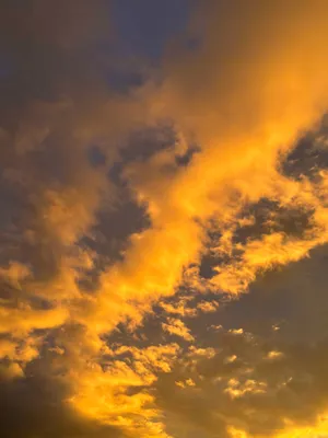 綺麗な青空と黄金の雲