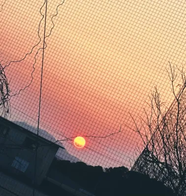 夕日