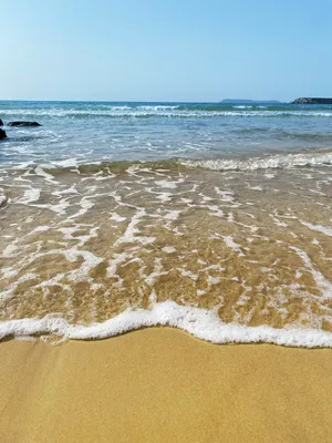 無題298_20260827134454