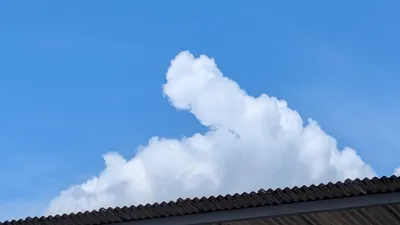 屋根上の入道雲