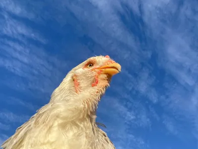 お空綺麗