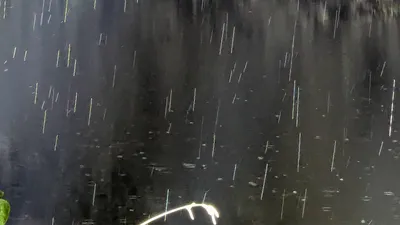 雨の夜①(横)