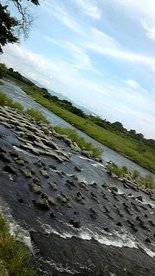 渡月橋2