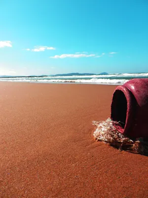 砂浜に転がる赤い浮きの接写