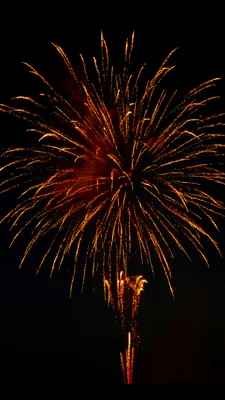 夜空に広がる輝く花火