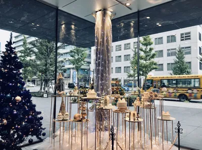 福岡銀行クリスマスツリー2