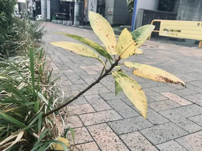 上へ上へ