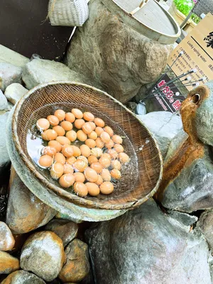 大分県の温泉たまご