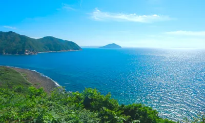 青い海と緑豊かな岬の風景